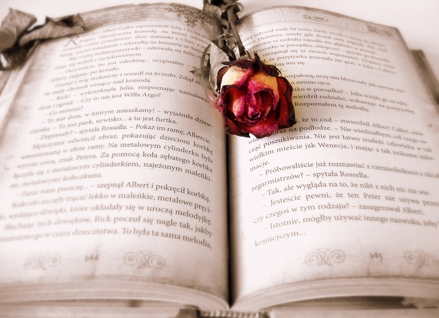 róża leżąca na książce